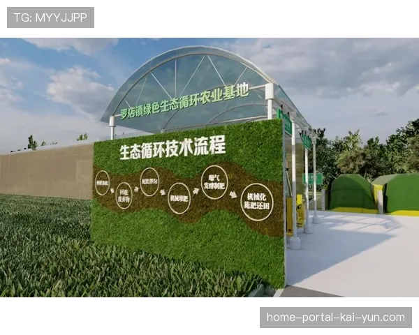 二手赛事装备平台兴起 资源循环利用生态初步形成